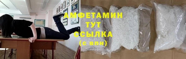 прущий лед Пересвет