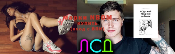 прущий лед Пересвет