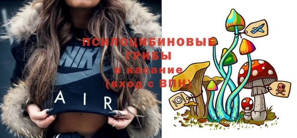 PSILOCYBIN Дмитров