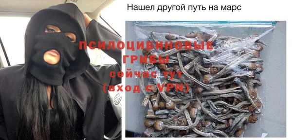прущий лед Пересвет