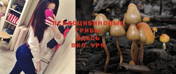 mix Дмитриев